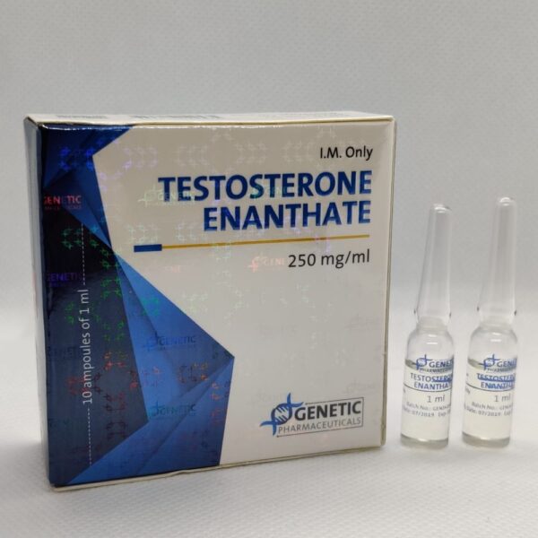 Testosterone Enanthate amps – Genetic Pharmaceuticals